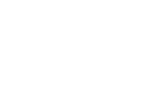 Budget Cycle logo